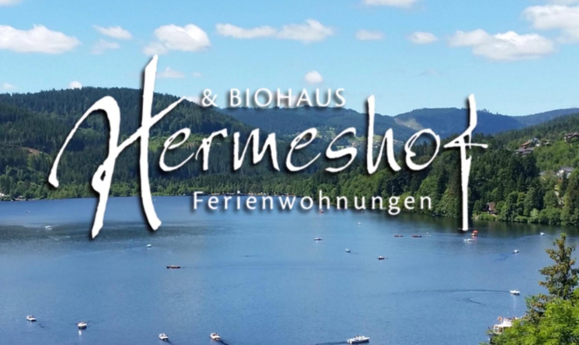 Hermeshof Und Biohaus Titisee-Neustadt Bagian luar foto