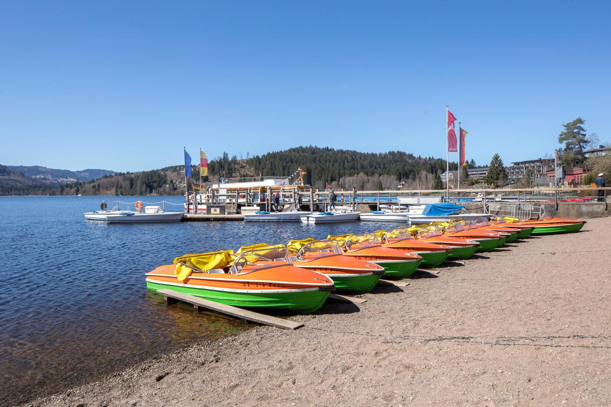 Hermeshof Und Biohaus Titisee-Neustadt Bagian luar foto