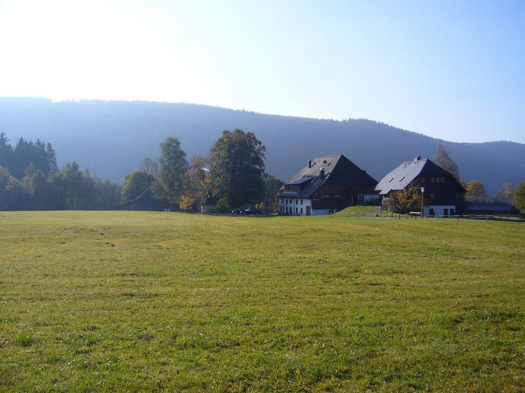 Hermeshof Und Biohaus Titisee-Neustadt Bagian luar foto